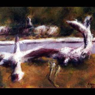 Ancla oxidada,
acrílico sobre lienzo,
?