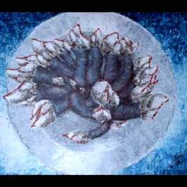 Percebes,
Acrílico sobre tabla,
?