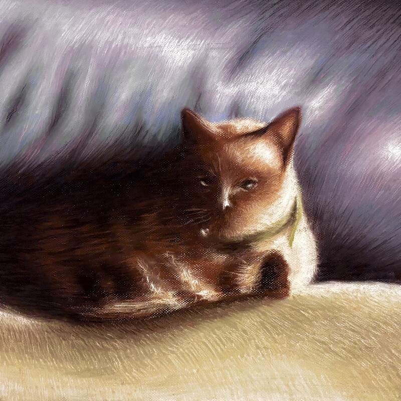 Duquesa,
Pastel sobre papel,
63x48 cm